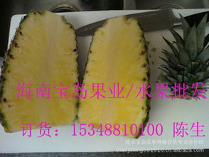 菠蘿市場概覽 品種區(qū)分與產(chǎn)地批發(fā)指導